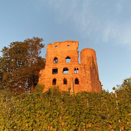 Hotel Scheid Schriesheim Exterior foto