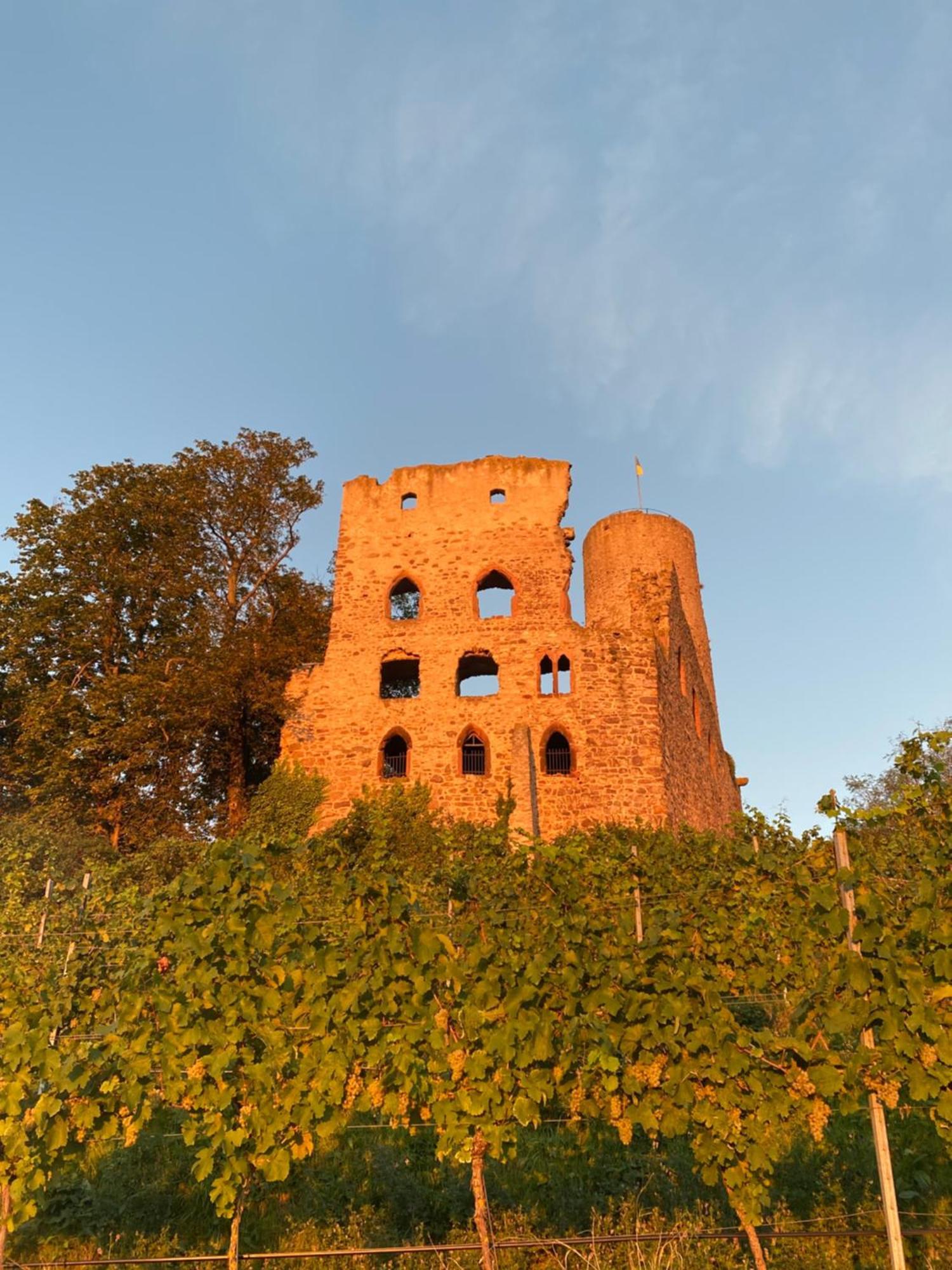 Hotel Scheid Schriesheim Exterior foto